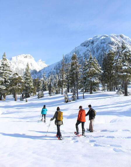 Winter Trekking