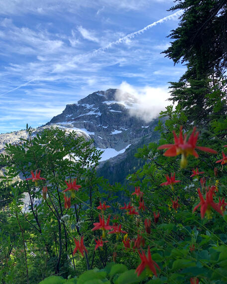 Mt Myra