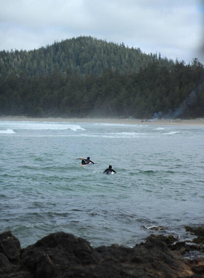Salty Surf