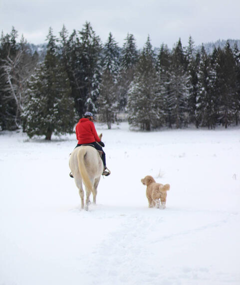 A Snowy Meander
