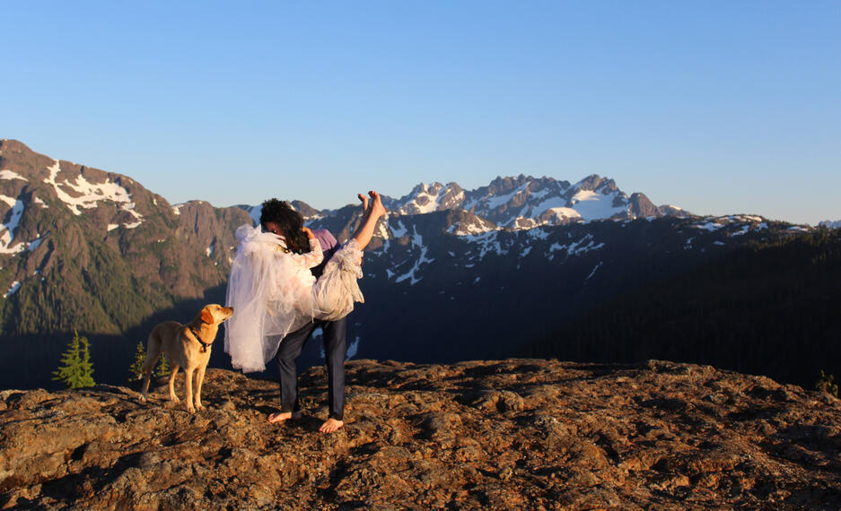 Hitched up High