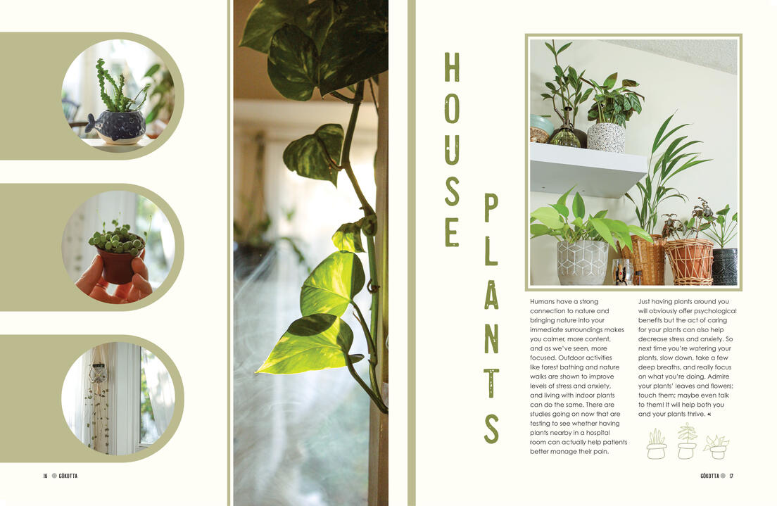 Houseplants