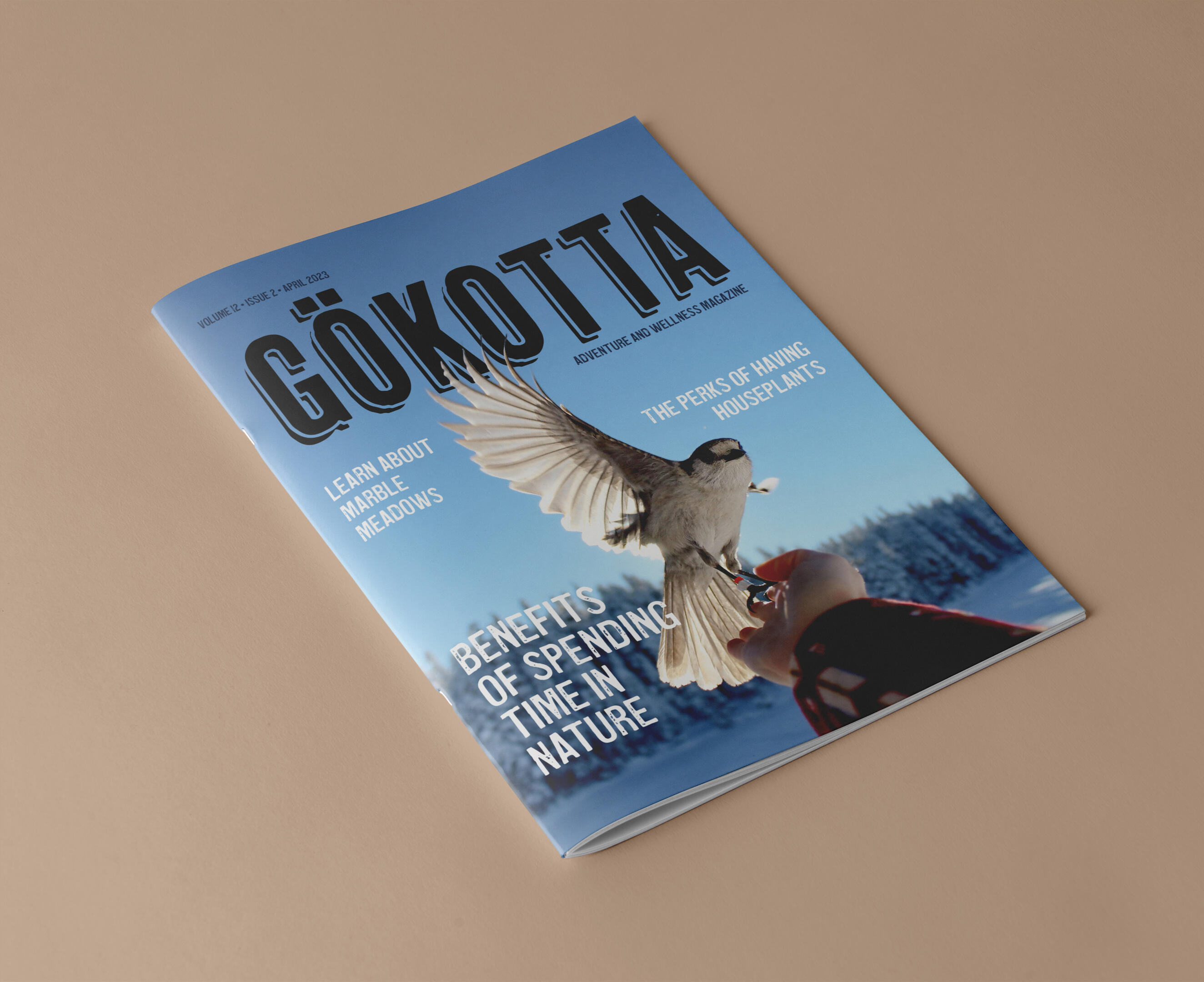 Gökotta Magazine